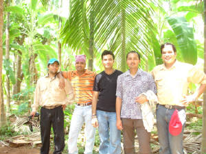In the coconut jungle, Udupi